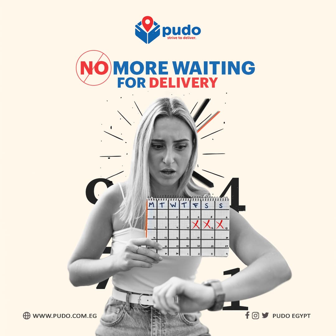 Pudo